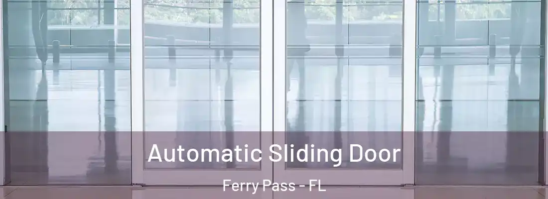  Automatic Sliding Door Ferry Pass - FL