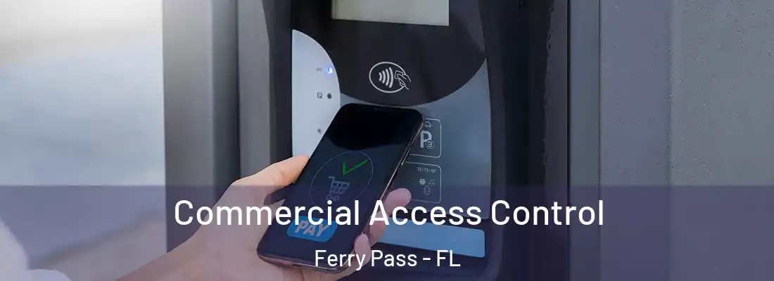  Commercial Access Control Ferry Pass - FL
