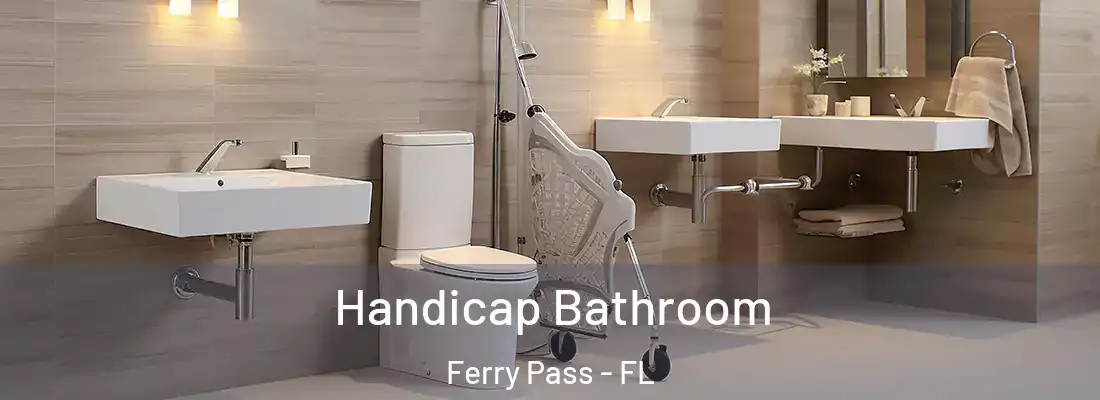 Handicap Bathroom Ferry Pass - FL