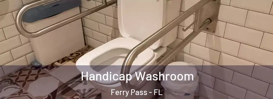  Handicap Washroom Ferry Pass - FL