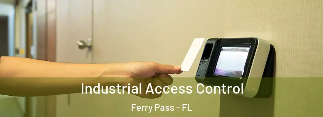  Industrial Access Control Ferry Pass - FL