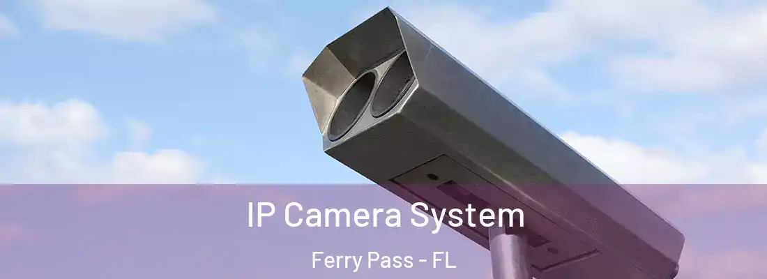  IP Camera System Ferry Pass - FL
