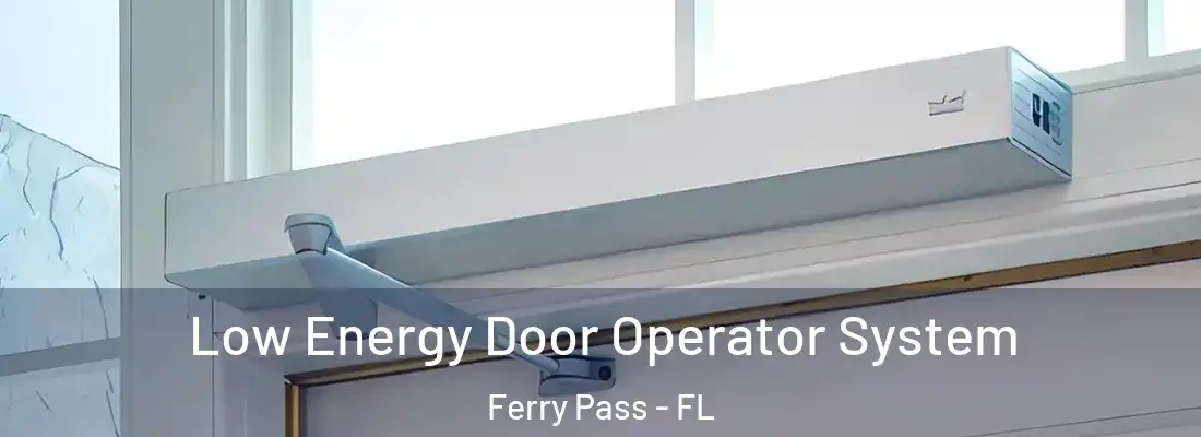  Low Energy Door Operator System Ferry Pass - FL