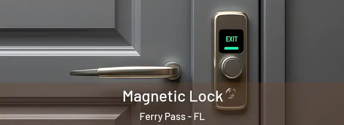  Magnetic Lock Ferry Pass - FL