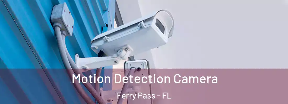  Motion Detection Camera Ferry Pass - FL