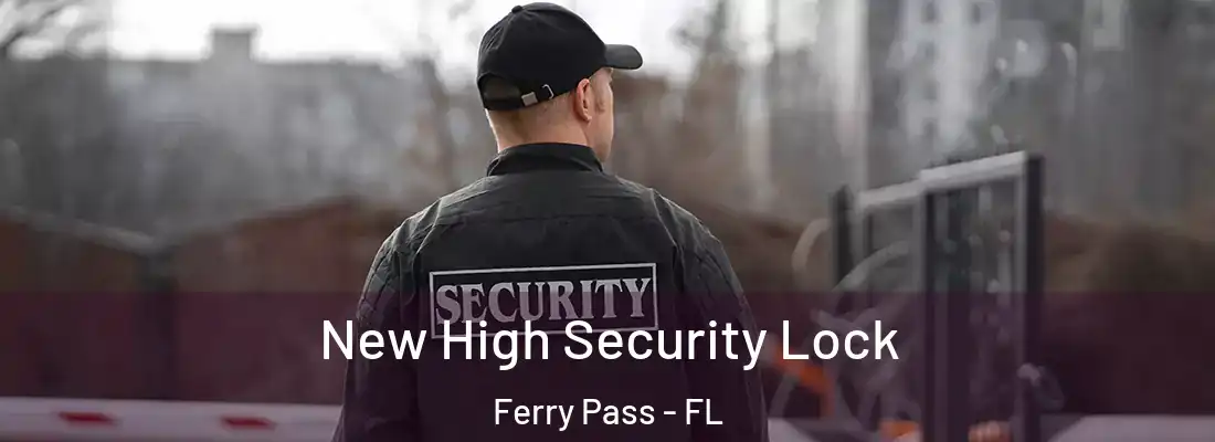  New High Security Lock Ferry Pass - FL
