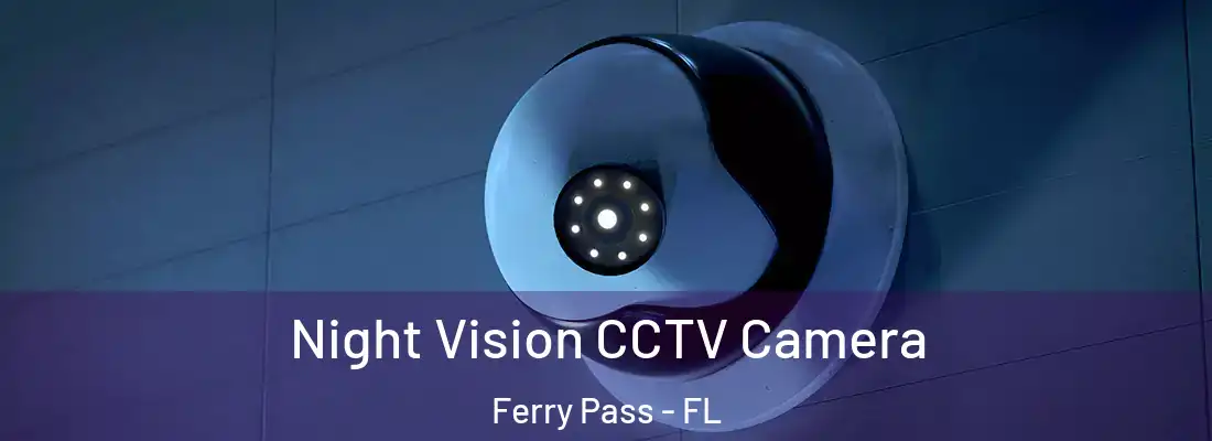  Night Vision CCTV Camera Ferry Pass - FL