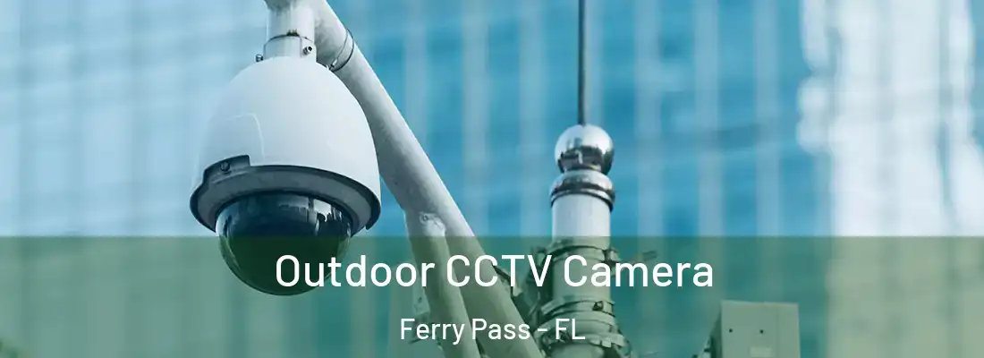  Outdoor CCTV Camera Ferry Pass - FL