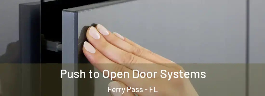  Push to Open Door Systems Ferry Pass - FL