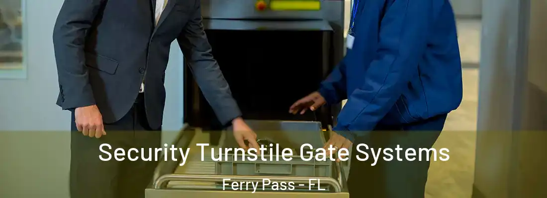  Security Turnstile Gate Systems Ferry Pass - FL