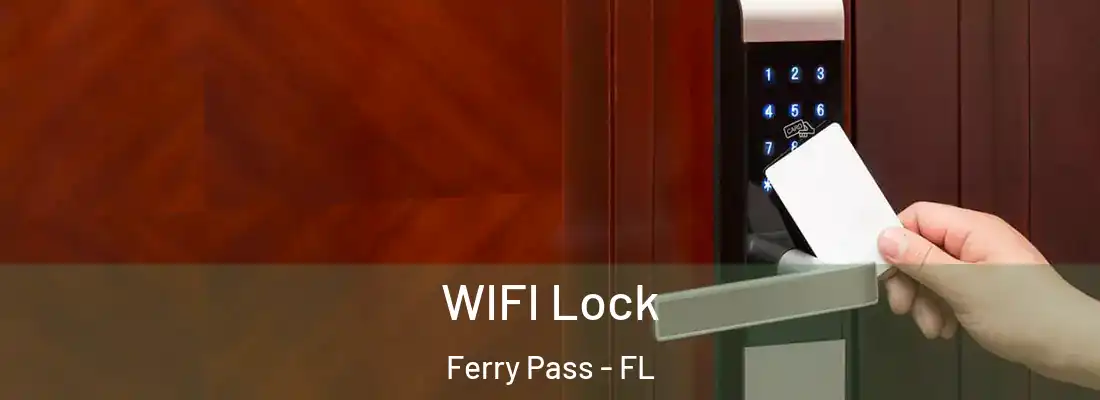  WIFI Lock Ferry Pass - FL
