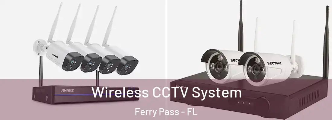  Wireless CCTV System Ferry Pass - FL